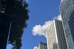 美國(guó)公司未按時(shí)報(bào)稅或繳稅的處罰標(biāo)準(zhǔn)是什么