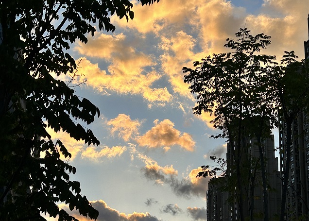 老撾公司注冊地址要求解析：虛擬地址的合規(guī)性說明