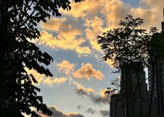 【深度解讀】2025年泰國(guó)用工風(fēng)向：合規(guī)+成本雙維度，避免“無(wú)知吃虧”的5大雷